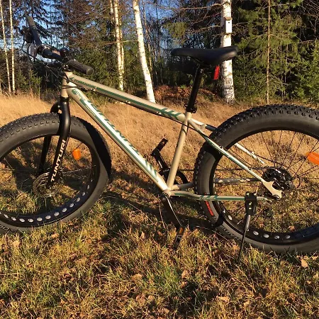 Ollilan Tupa Joensuun Laehellae Couette-café Ylämylly