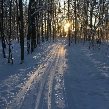 Ollilan Tupa Joensuun Lähellä *