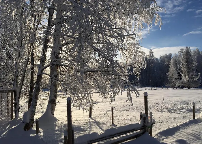 Ollilan Tupa Joensuun Laehellae Bed & Breakfast *