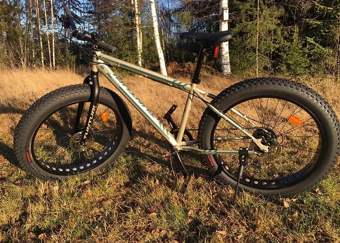 Ollilan Tupa Joensuun Laehellae Bed & Breakfast Ylämylly