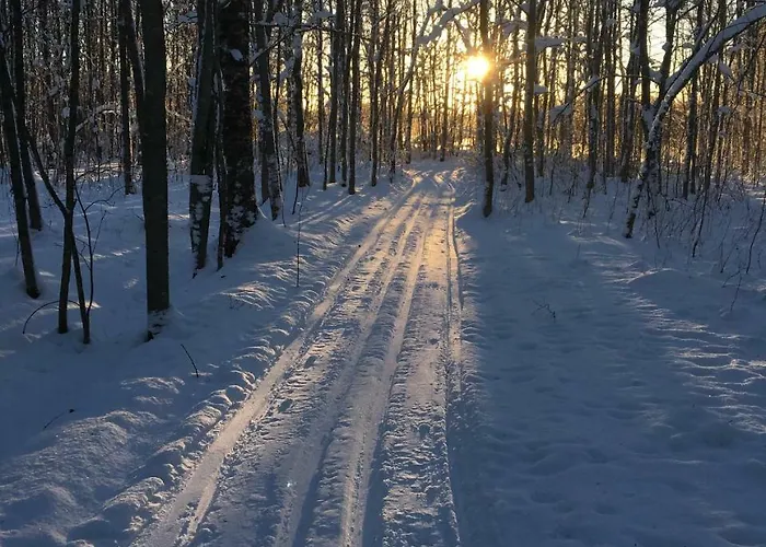 Ollilan Tupa Joensuun Laehellae *